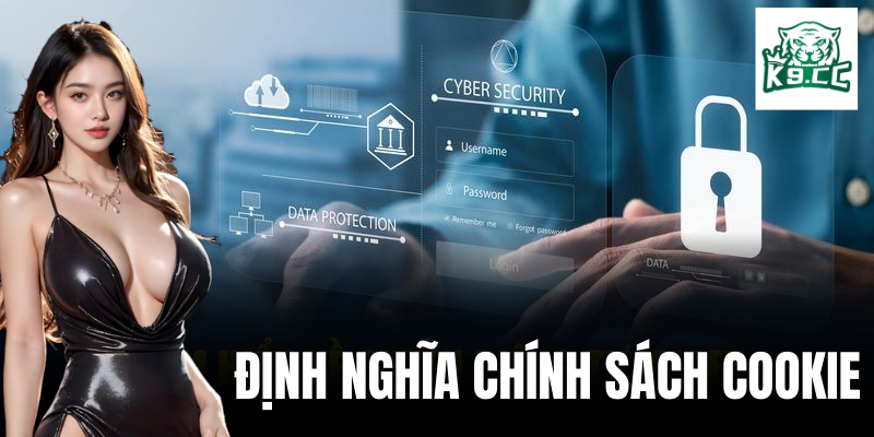 Giải thích về chính sách cookie