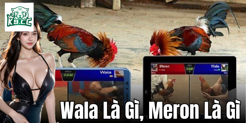 Các phương pháp kết hợp Wala là gì, Meron là gì