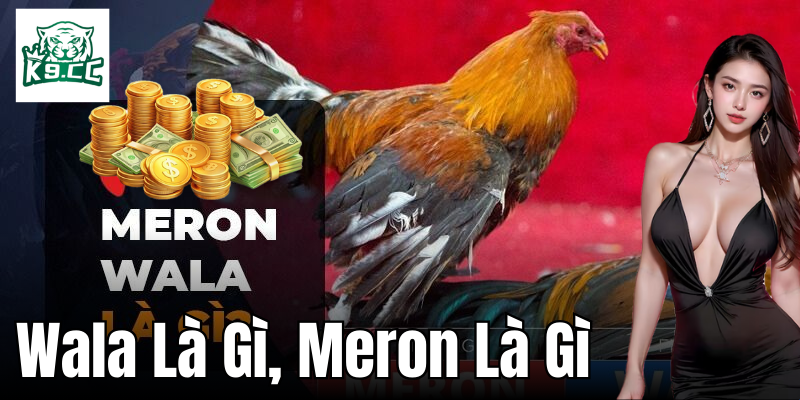 Khái niệm Wala là gì, Meron là gì