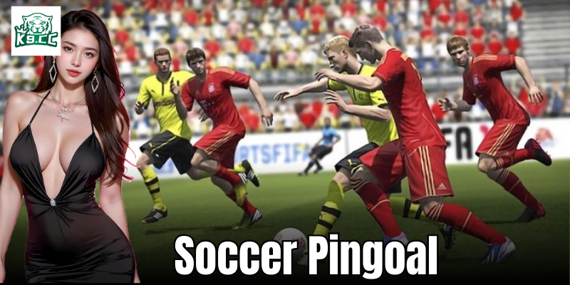Soccer Pingoal - Một nền tảng thể thao ảo đầy hấp dẫn