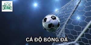 Bí quyết soi kèo Cá Độ Bóng Đá