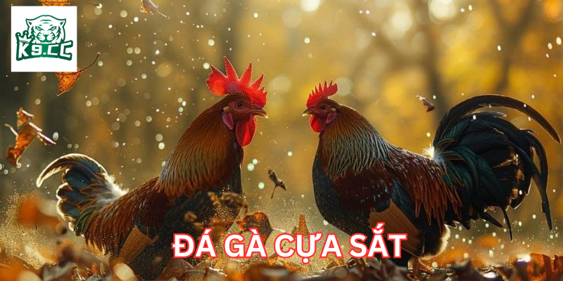Đá Gà Cựa Sắt là gì?